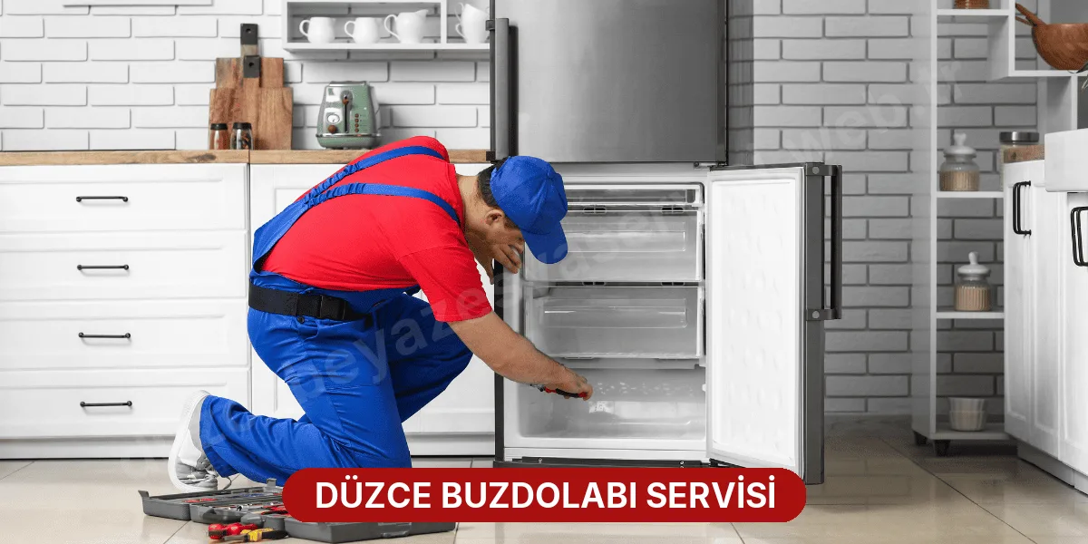 Düzce Buzdolabı Servisi