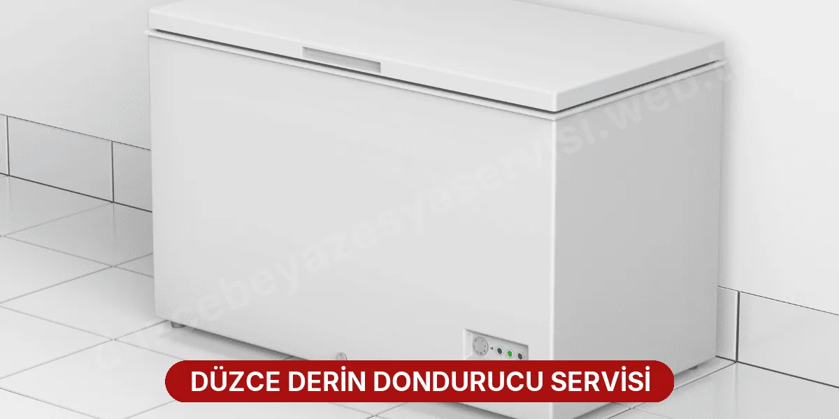 Düzce Derin Dondurucu Servisi