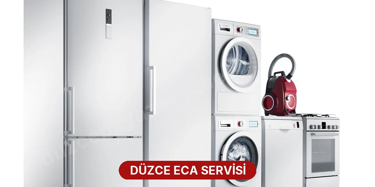 Düzce ECA Servisi