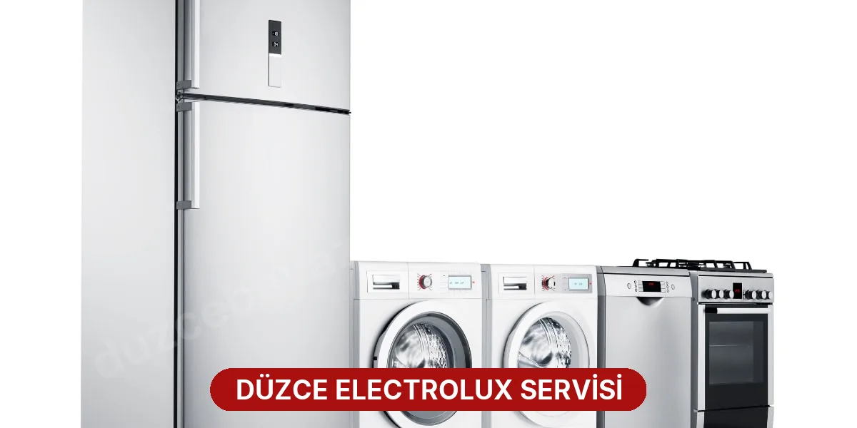 Düzce Electrolux Servisi