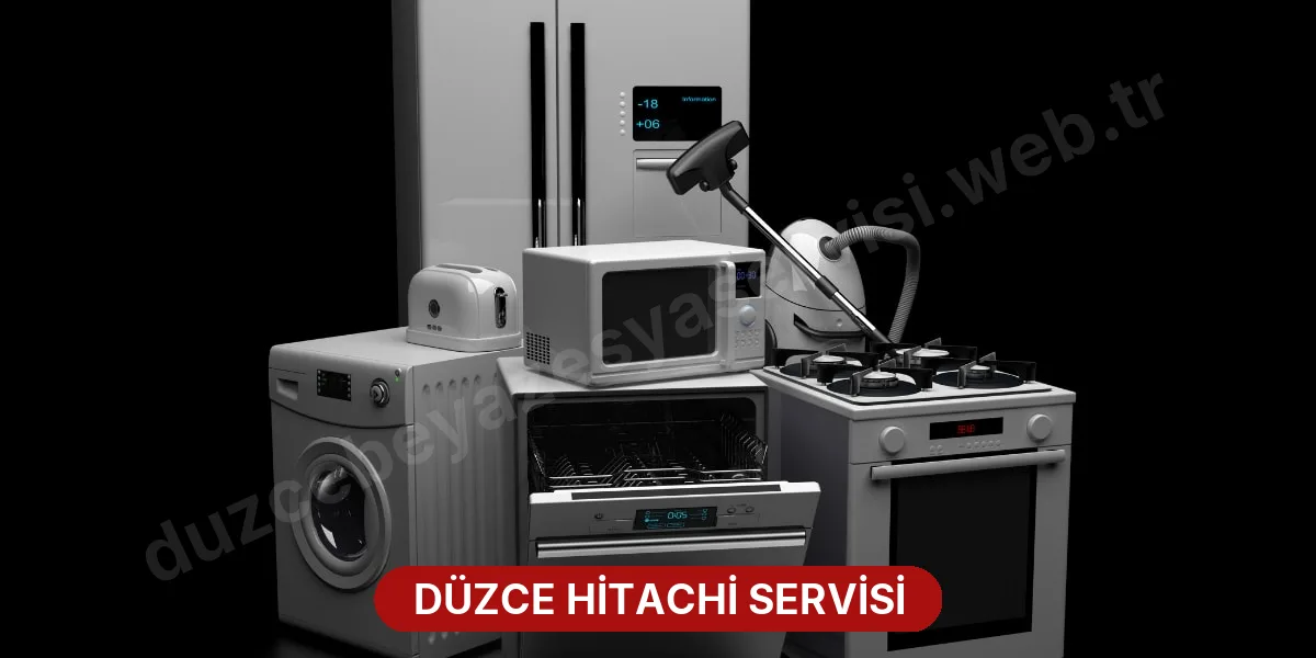 Düzce Hitachi Servisi