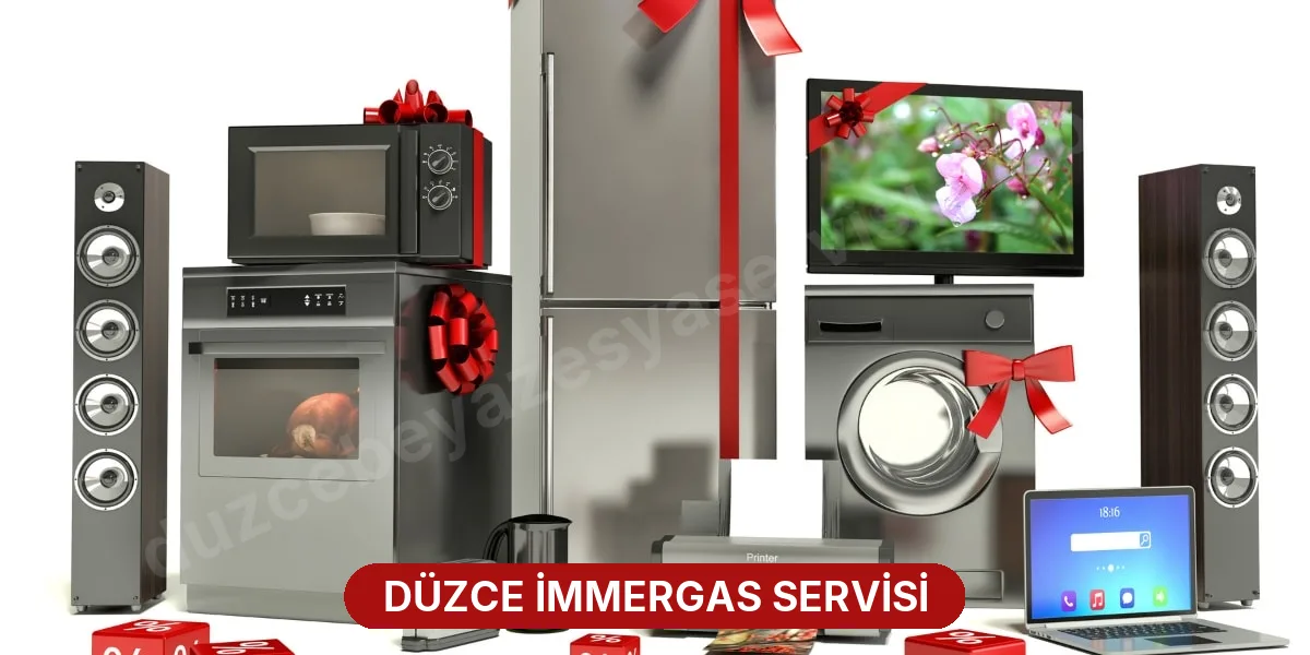 Düzce İmmergas Servisi