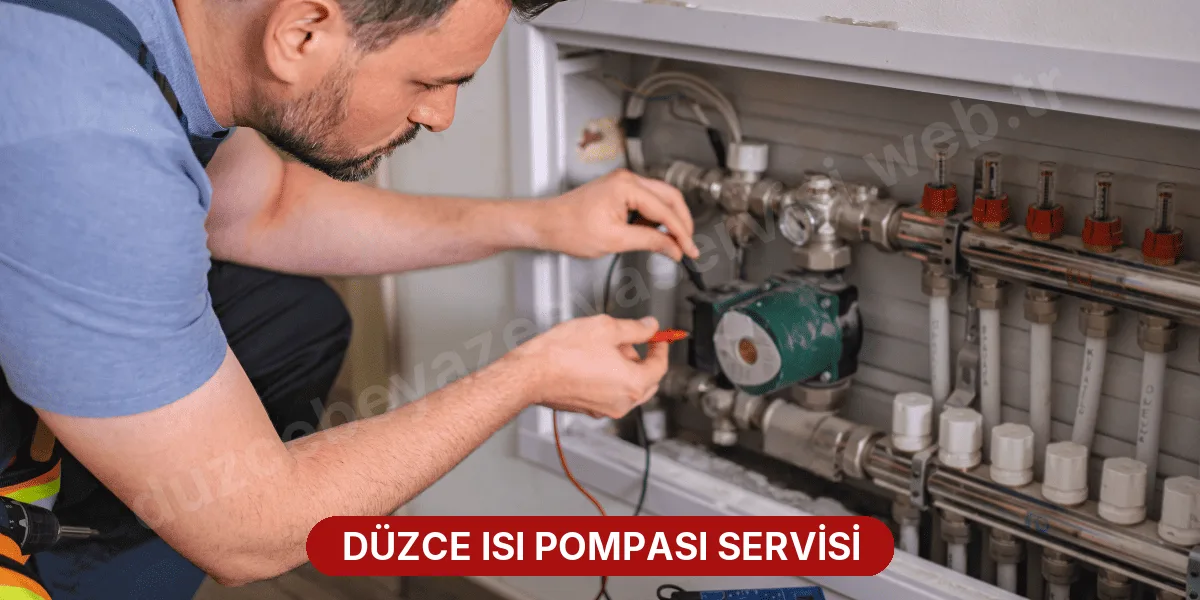 Düzce Isı Pompası Servisi