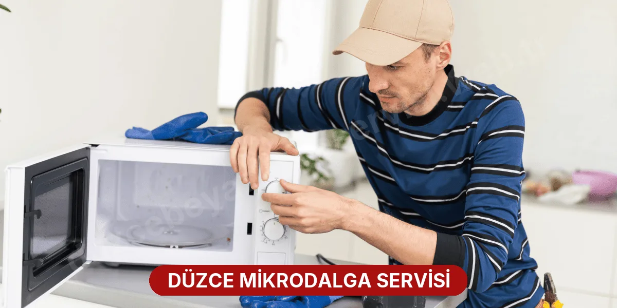 Düzce Mikrodalga Servisi