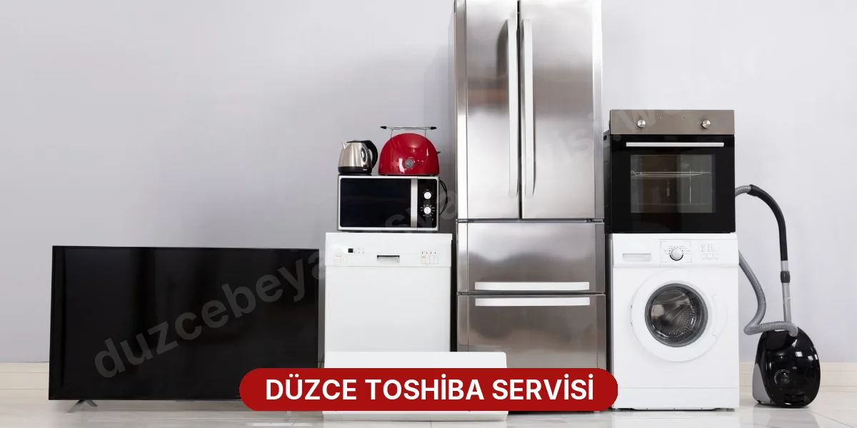 Düzce Toshiba Servisi