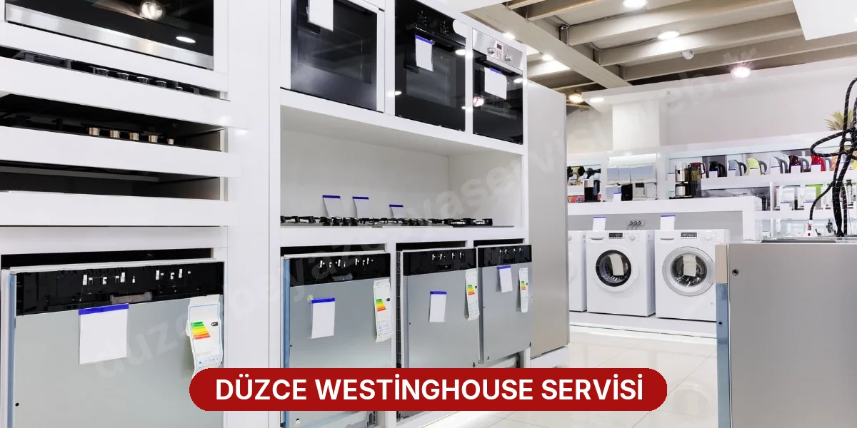 Düzce Westinghouse Servisi