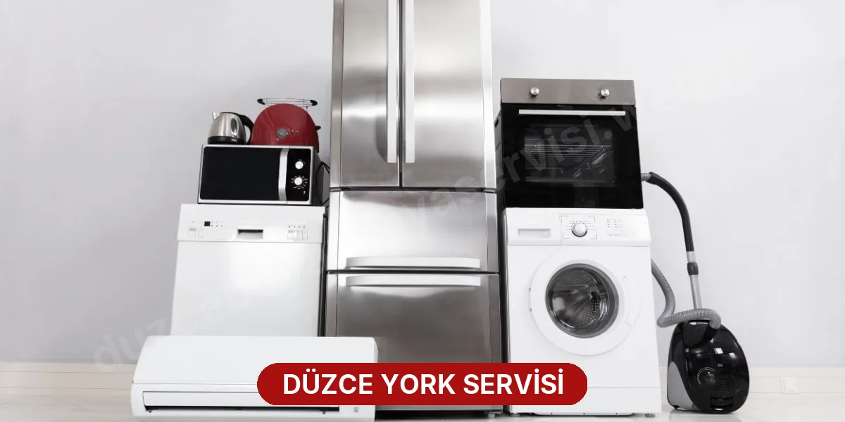 Düzce York Servisi